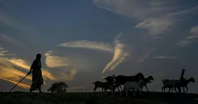 January 12, 2026: A World in Pictures from Agra to Milan