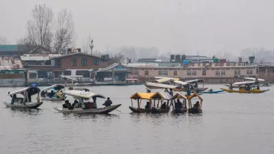 Kashmir Shivers at Season's Lowest: Dal Lake Fringes Freeze as Mercury Plummets