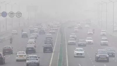 Only 4 of 44 Chronically Polluted Indian Cities Covered Under NCAP: Report