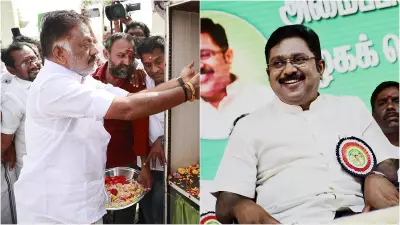 OPS, TTV Reject Palaniswami as CM Face; Engage in Talks with Vijay's TVK