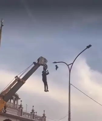 Punjab Man's Daring Bird Rescue from High-Rise Goes Viral, Wins Hearts