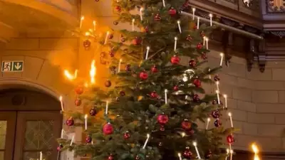 Swiss Christmas Tradition Goes Viral: Real Candles on Trees, A Risky Heritage