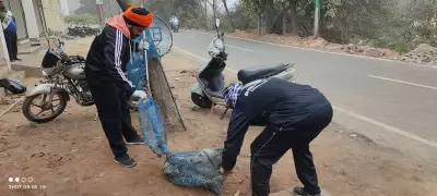 Unauthorised Sterilisation of Stray Dogs Sparks Outrage in Tarn Taran