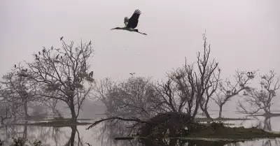 Winter Chaos in Manali: Tourists Stranded in Massive Traffic Jam