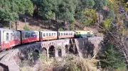 3 Scenic Train Journeys in India: From Toy Trains to Coastal Rails