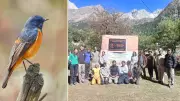 35 Bird Species Spotted at Rakchham-Chitkul Sanctuary in Thrilling International Bird Watch