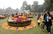 38th Chrysanthemum Show in Chandigarh: A Floral Spectacle Unveiled