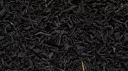 6 Surprising Health Benefits of Black Tea You Should Know
