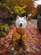 7 Astonishing Animal Behaviors That Will Surprise You