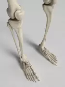 8 Power-Packed Foods Beyond Milk for Stronger Bones | Indian Wellness Guide