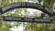 Activists Detail Damage from Bannerghatta Buffer Zone Shrinkage