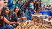 Bengaluru's Basavanagudi Hosts 5-Day Kadlekai Parishe Groundnut Fair
