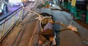 Bengaluru's Homeless Refuse Night Shelters, Cite Poor Maintenance