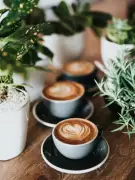 Beyond the Brew: 7 Innovative Coffee-Infused Foods You Must Try