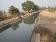 Canal Irrigation Returns to Punjab's Kandi Belt After 40-Year Wait