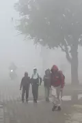 Chandigarh Braces for Dense Fog from Christmas Eve, IMD Issues Advisory