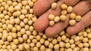 Corn & Soybeans: The Hidden Battle in India-US Trade Relations Explained