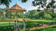 Cubbon Park Flower Show Draws Thousands Daily: A Bengaluru Revival