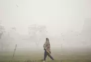 Delhi Wakes Up to Dense Fog, Air Quality Improves Slightly to 'Very Poor'