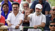 DMK-Congress Alliance Faces Strain Over Seat-Sharing, Power Pact Ahead of Tamil Nadu Polls