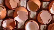 Don't Toss Those Eggshells! 6 Brilliant Household Uses You Never Imagined
