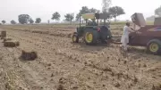 Farmer Faces FIR for Stubble Burning on Diwali in Haryana's Palwal | Environmental Violation