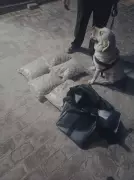 Fatehabad's Four-Legged Heroes Sniff Out Major Arms Cache in Daring Police Raid