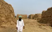 From Parali to Prosperity: How Haryana Farmers Are Turning Stubble Ash Into Gold