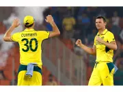 George Bailey Backs Cummins & Hazlewood for T20 World Cup, Stresses Online Availability