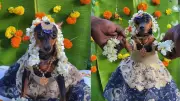 Golden Retriever's Haldi Ceremony Goes Viral, Wins Hearts Online