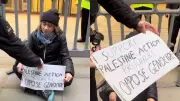Greta Thunberg Arrested at Pro-Palestinian Protest in London