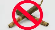 Gujarat Bans Tobacco Rolling Paper & Cones Citing Health Hazards, Drug Abuse