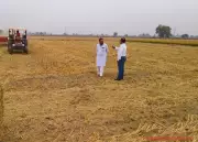 Haryana Cracks Down on Stubble Burning: Special Teams Deployed Across Villages to Combat Pollution