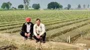 Haryana Farmer Sells 10 Crore Nursery Plants with Innovative Irrigation
