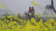 India Braces for Colder January, Boosting Winter Crop Hopes