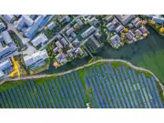 India's Green Energy Revolution Accelerates: Massive Investments & Policy Push Drive Rapid Transition