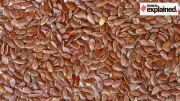 India's New Seeds Bill 2025: Rs 30 Lakh Fine, 3-Year Jail for Spurious Seeds