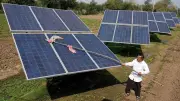 India's Solar Surge: 25.3 GW New Capacity in 2024, But Challenges Loom