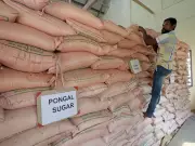 India's Sugar Output Rebounds in 2025-26, But Ethanol Demand Hits Plateau
