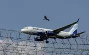 IndiGo Cancels Over 70 Flights: Tech Glitches & Airport Congestion Disrupt Travel