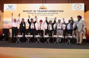 Industry Leaders Push Tech-Driven Growth at Wheat Transformation Seminar