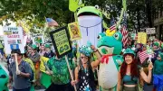 Inflatable Frog Costumes Become Unlikely Symbol of Resistance in US Anti-Trump Protests