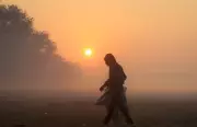 Intense Cold Wave Grips Punjab & Haryana, Dense Fog Disrupts Life