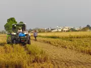 Karnal's Green Revolution: District Expands In-Situ Stubble Management to 1.5 Lakh Acres to Combat Air Pollution