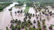 Karnataka Farmer Swept Away in Flood Fury as Torrential Rains Wreak Havoc on Farmlands