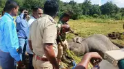 Karnataka Launches Integrated Command Centre to Tackle Man-Animal Conflict