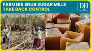 Karnataka Sugarcane Farmers Snub Mills, Turn to Jaggery for Better Profits
