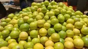 Karnataka's GI-Tagged Lemon Exports Begin to Oman Post FTA