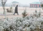 Kashmir Night Temperatures Show Slight Improvement Amid Cold Wave