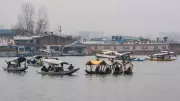 Kashmir Shivers at Season's Lowest: Dal Lake Fringes Freeze as Mercury Plummets